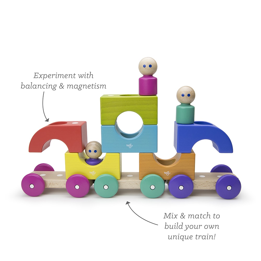 Magnetic Tegu Tram